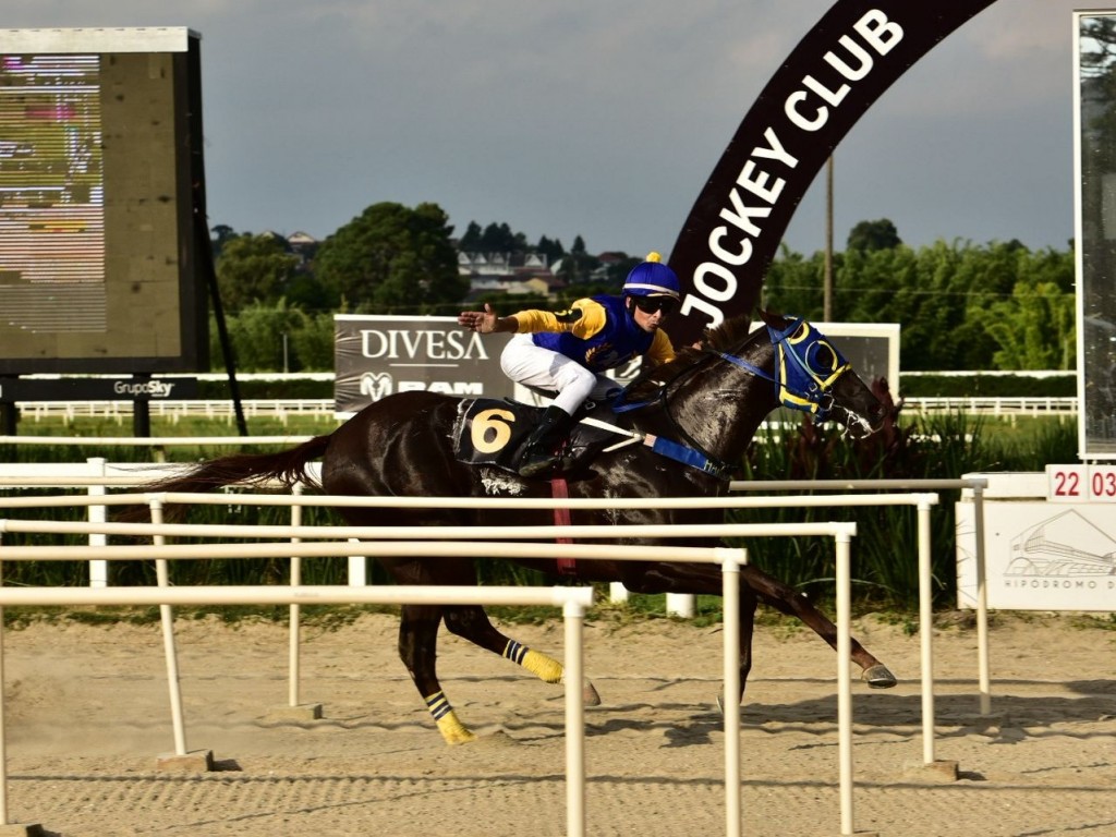 Foto: Hermoso Dollar manda e desmanda no 22&ordm; GP Turfe Paranaense