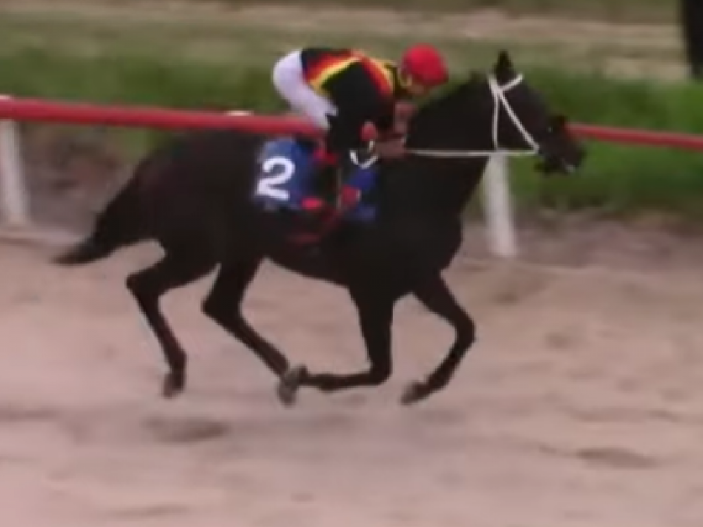 Foto: Recife: em match race, Castro Fidel vence o GP Renato Medeiros