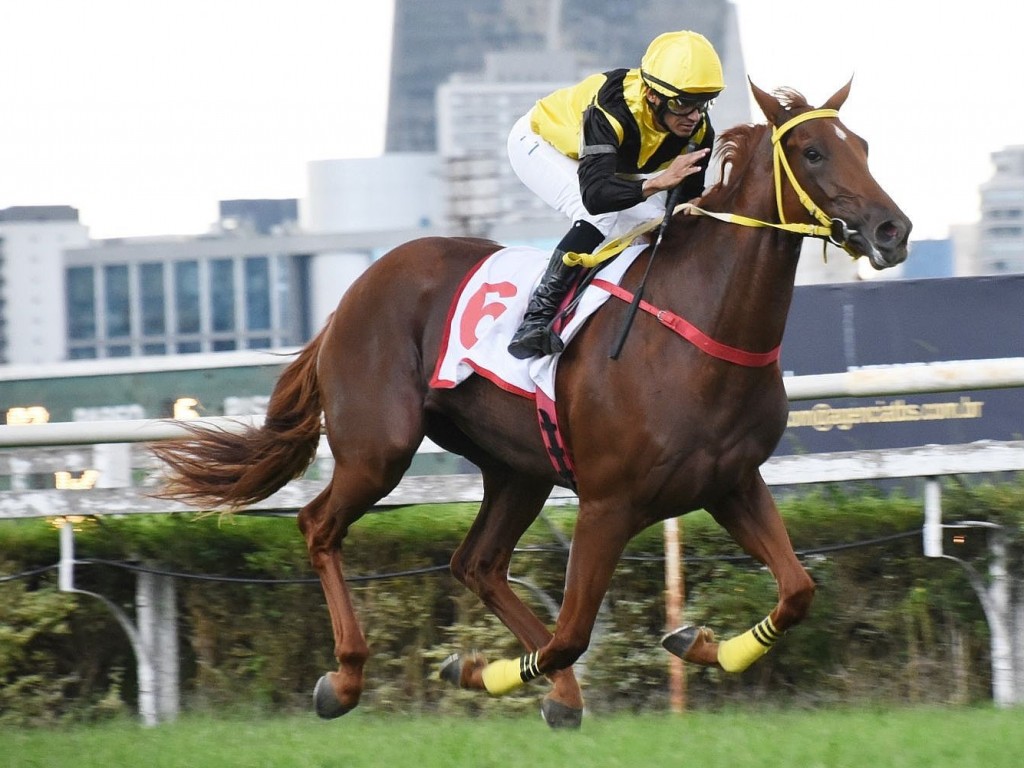 Foto: Vip Na Balada mant&eacute;m-se invicta no "Guilherme Ellis"