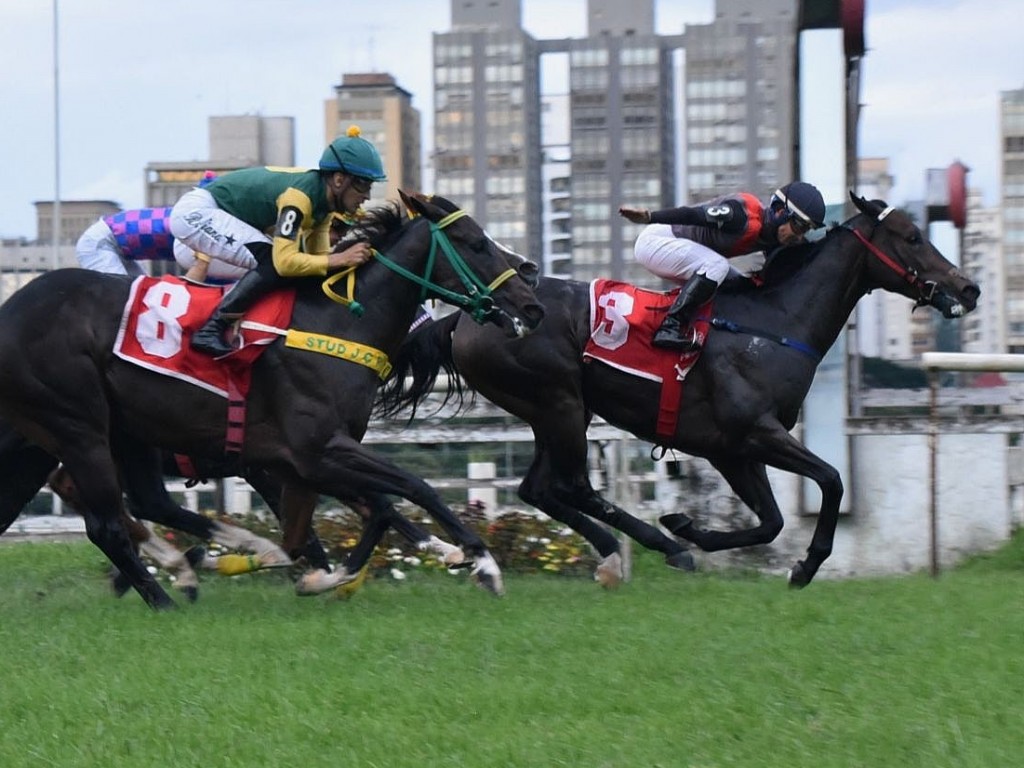 Foto: Eletrizante Dollar protagoniza reaparecimento de luxo em G3