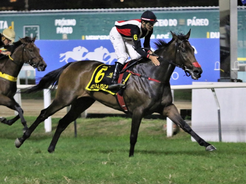 Foto: Odalisca confirma favoritismo no GP Z&eacute;lia Gonzaga Peixoto de Castro (G1)