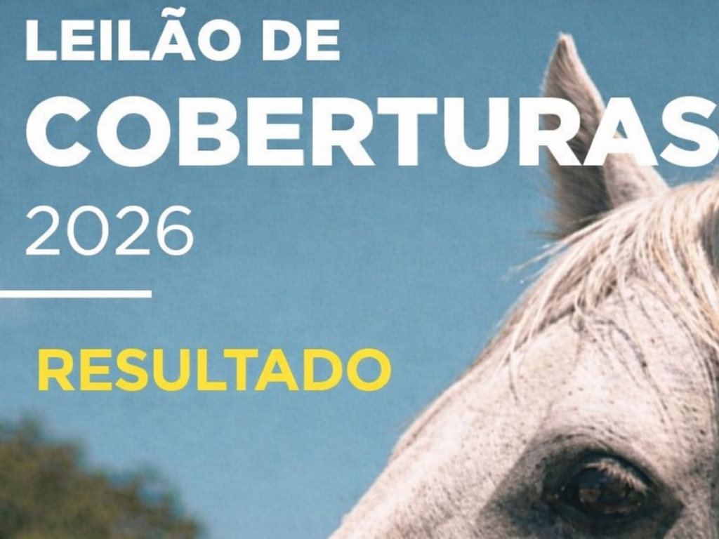 Foto: Leil&atilde;o de Coberturas da Copa dos Criadores movimenta R$ 263 mil