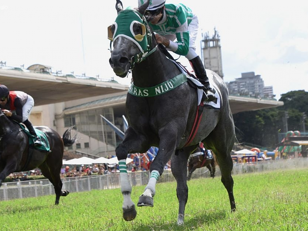 Foto: Minuano Pampa "sopra forte" na homenagem a Jos&eacute; Stephanes Gringo