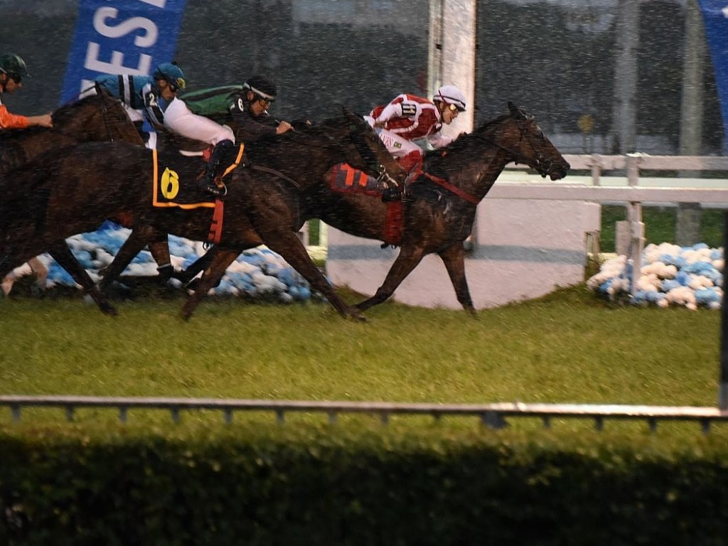 Foto: Primeira Classe vence a Prova Especial Off The Way