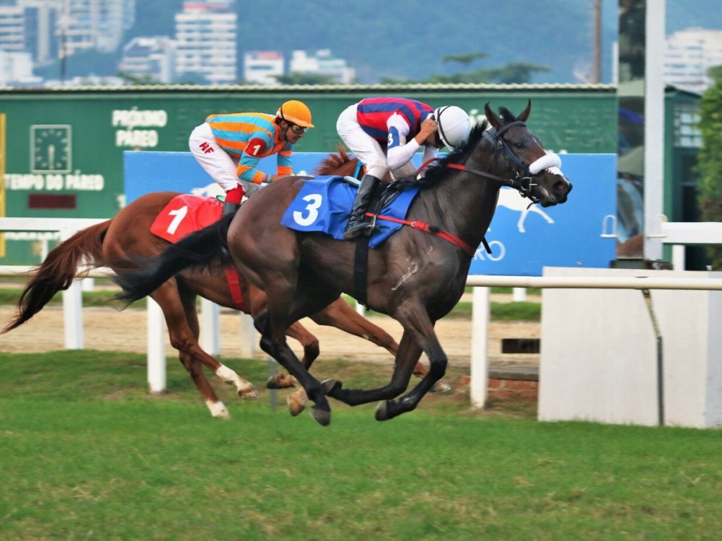 Foto: Party Anthem rende a Pimper's Paradise seu primeiro black type