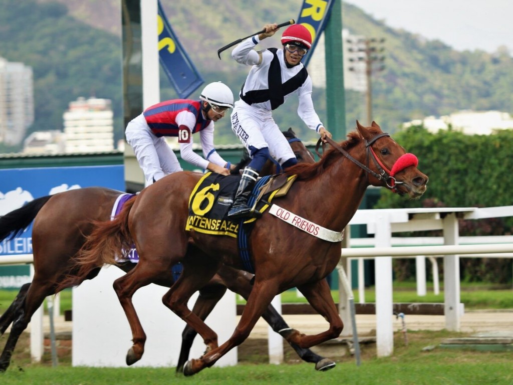 Foto: Na falta de Iluminada, Intense Afleet tutela lideran&ccedil;a da gera&ccedil;&atilde;o para o Old Friends