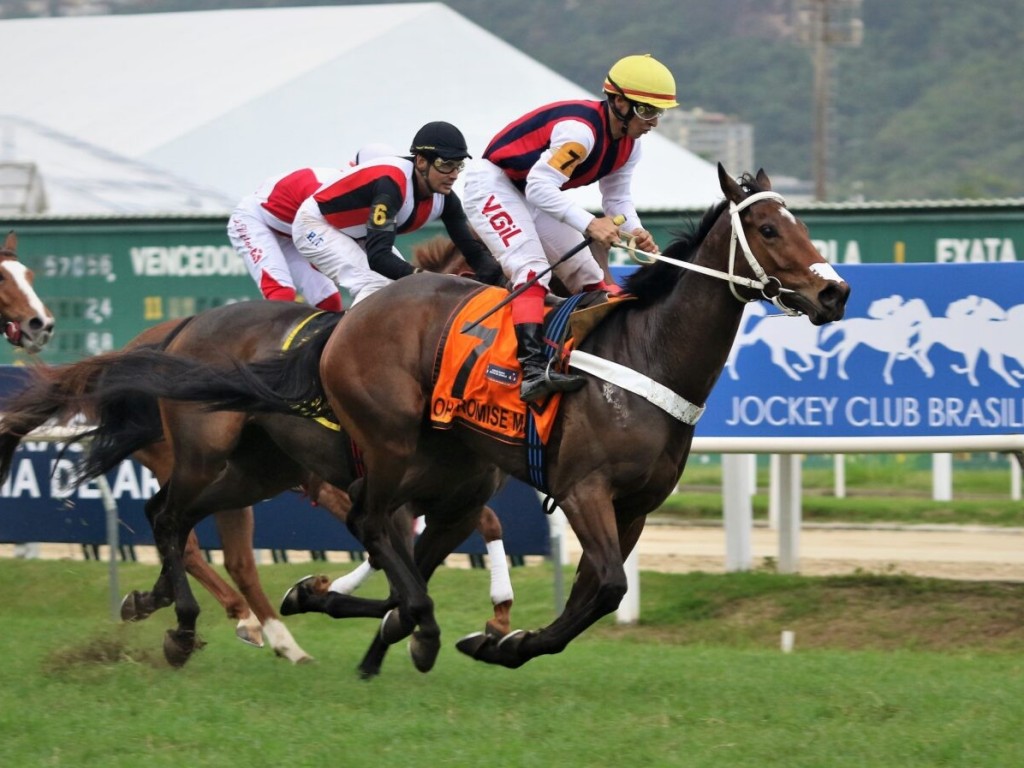 Foto: Oh Promise Me supera Odalisca no GP Roberto e Nelson Seabra (G1)