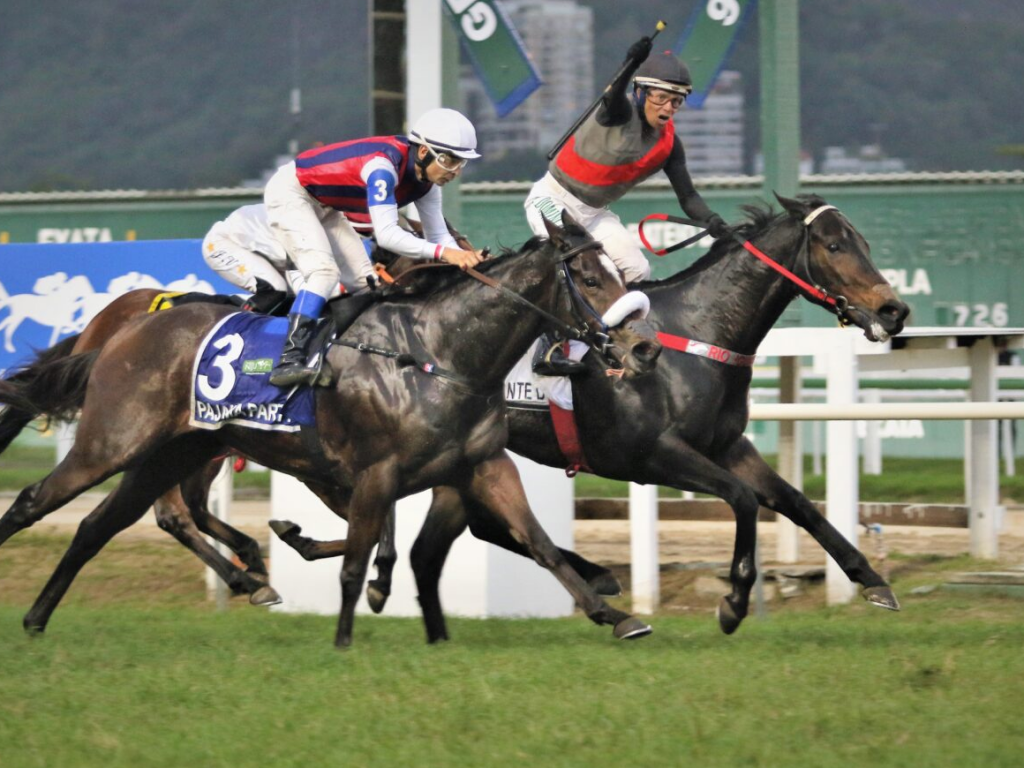 Foto: A vit&oacute;ria que ainda faltava: Eletrizante Dollar brilha no GP Major Suckow (G1)
