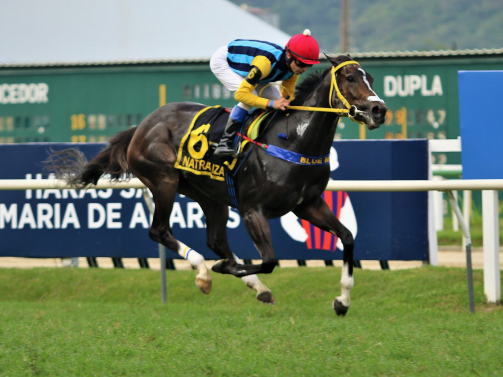 Foto: Naturalizada imp&otilde;e sua categoria no GP ABCPCC &ndash; Ta&ccedil;a Stud Book Brasileiro (G3)