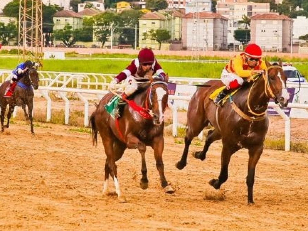 Foto: Nadador Lô e Argona despontam como líderes no Cristal