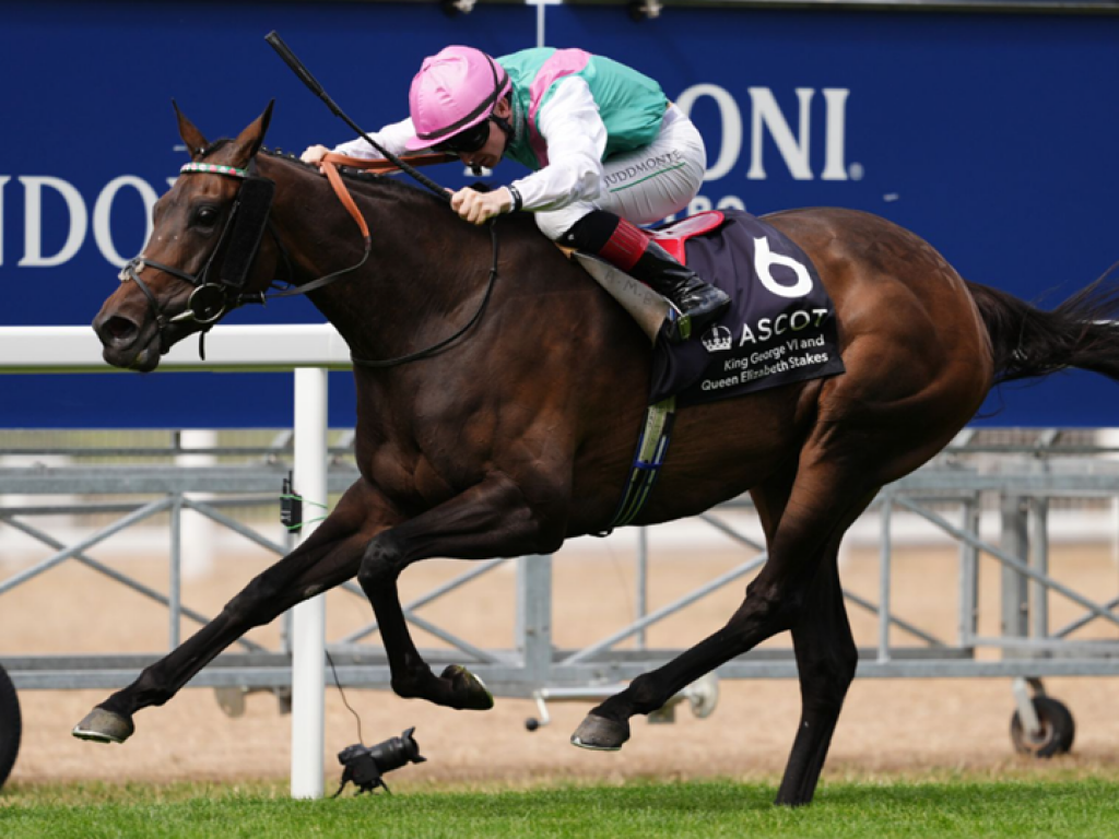 Foto: Kalpana repete lendas da Juddmote e vence o "King George"
