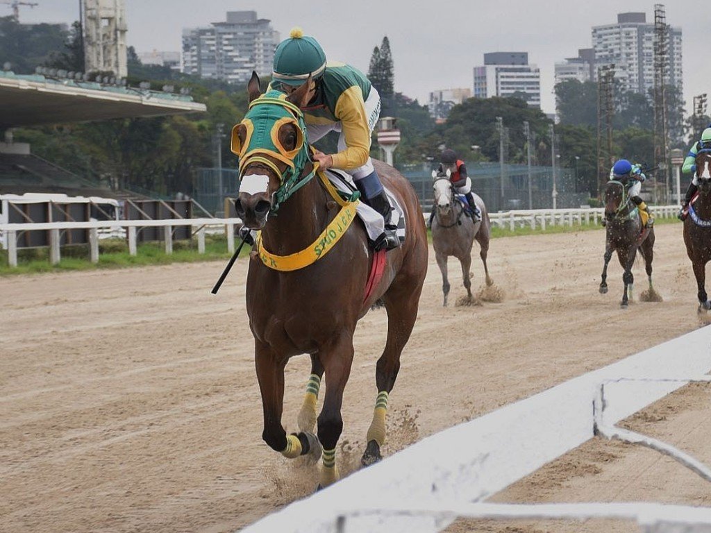 Foto: Niamore volta a vencer, em Cidade Jardim