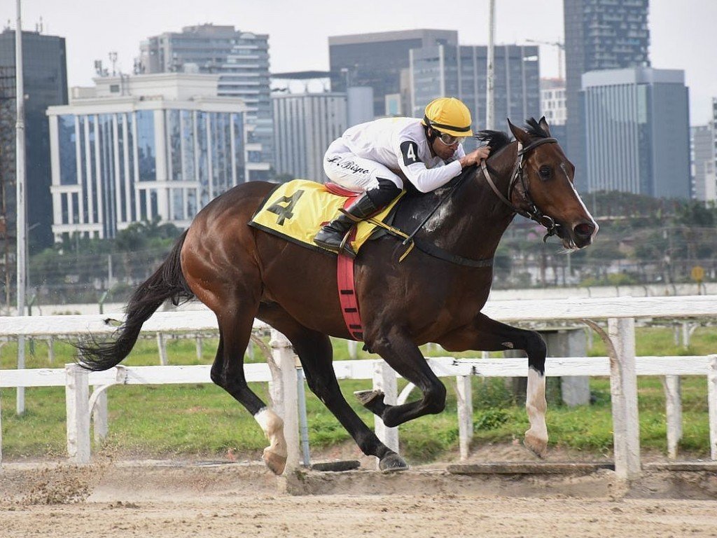 Foto: Lindstrom: o melhor no Handicap Especial Geraldo Moacyr Bordon
