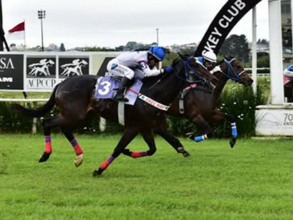 Foto: Entre os velocistas, Elettrizzante supera Wenzel Jr.