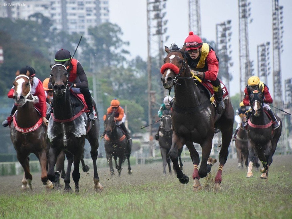 Foto: No Grande Pr&ecirc;mio Ipiranga (G1), atropelada letal de Rabat Again
