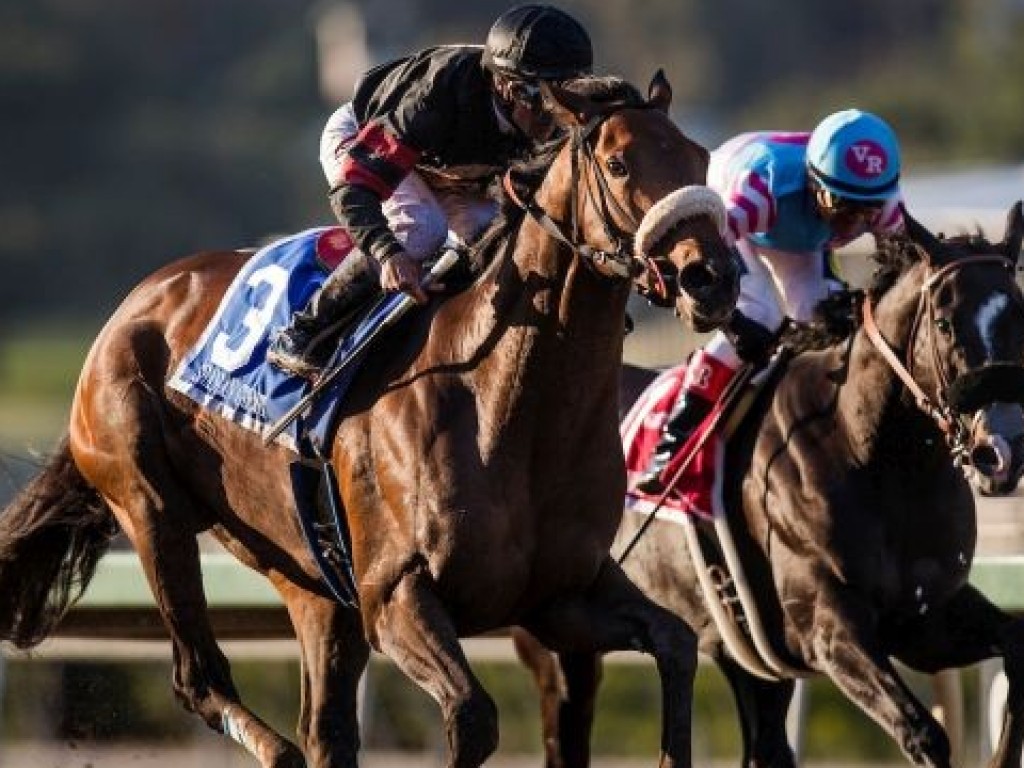 Foto: Shaman Ghost vence o Santa Anita Handicap; Hi Happy entra quarto