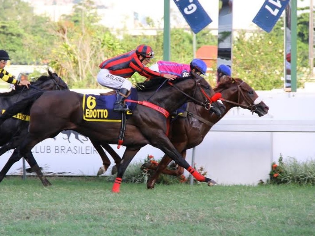 Foto: King David surpreende e levanta o GP Francisco Eduardo de Paula Machado (gr.I)